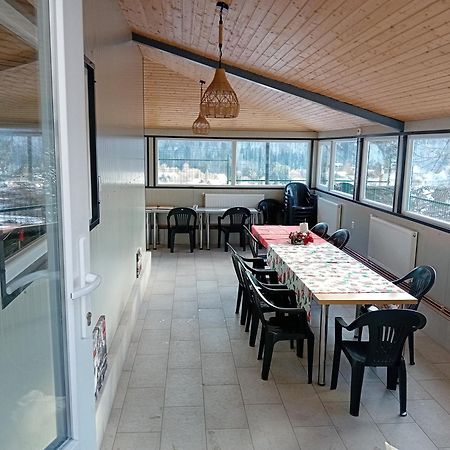 Vila Alegria Buşteni Εξωτερικό φωτογραφία
