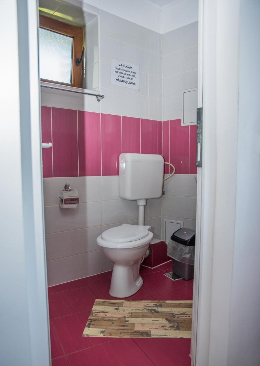 Vila Alegria Buşteni Εξωτερικό φωτογραφία