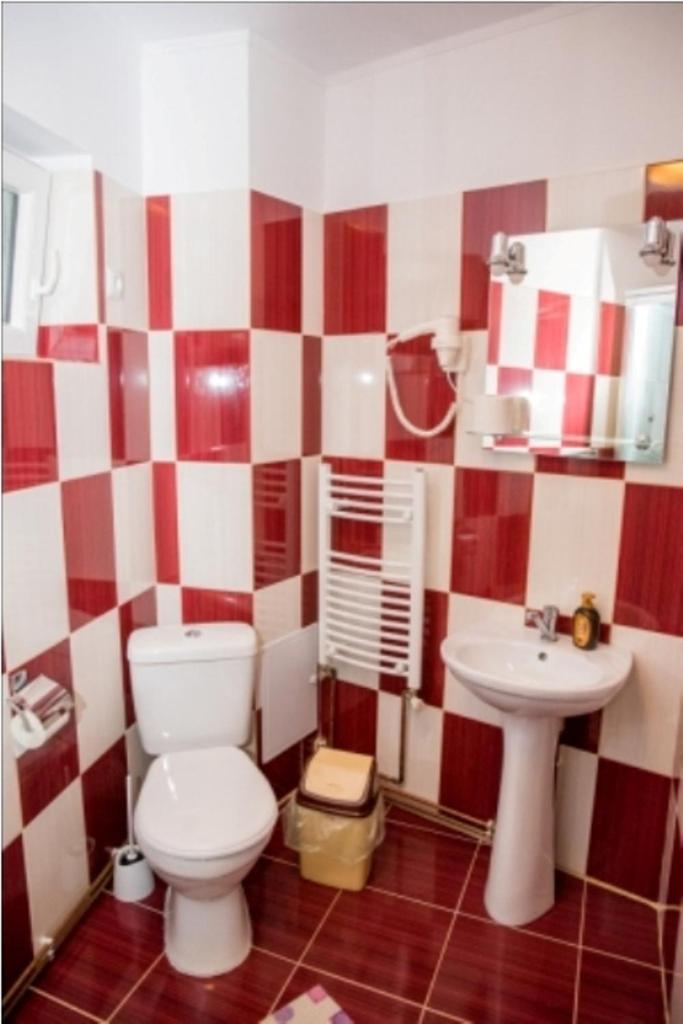 Vila Alegria Buşteni Εξωτερικό φωτογραφία