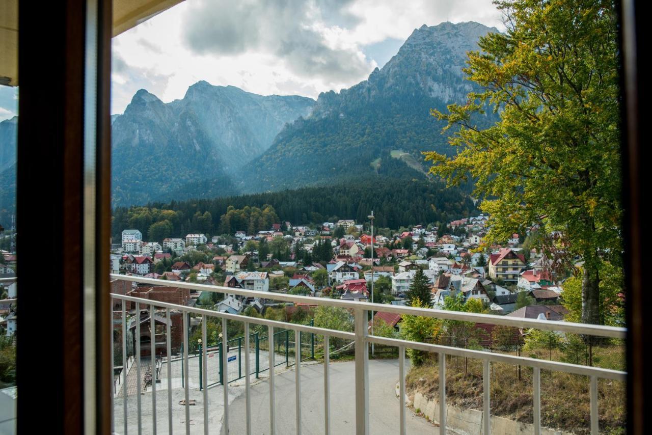 Vila Alegria Buşteni Εξωτερικό φωτογραφία