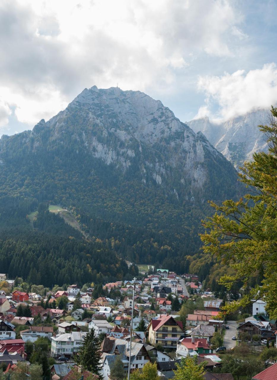 Vila Alegria Buşteni Εξωτερικό φωτογραφία